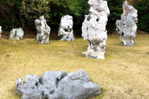 In Search of Ma: Snapshots from Japan