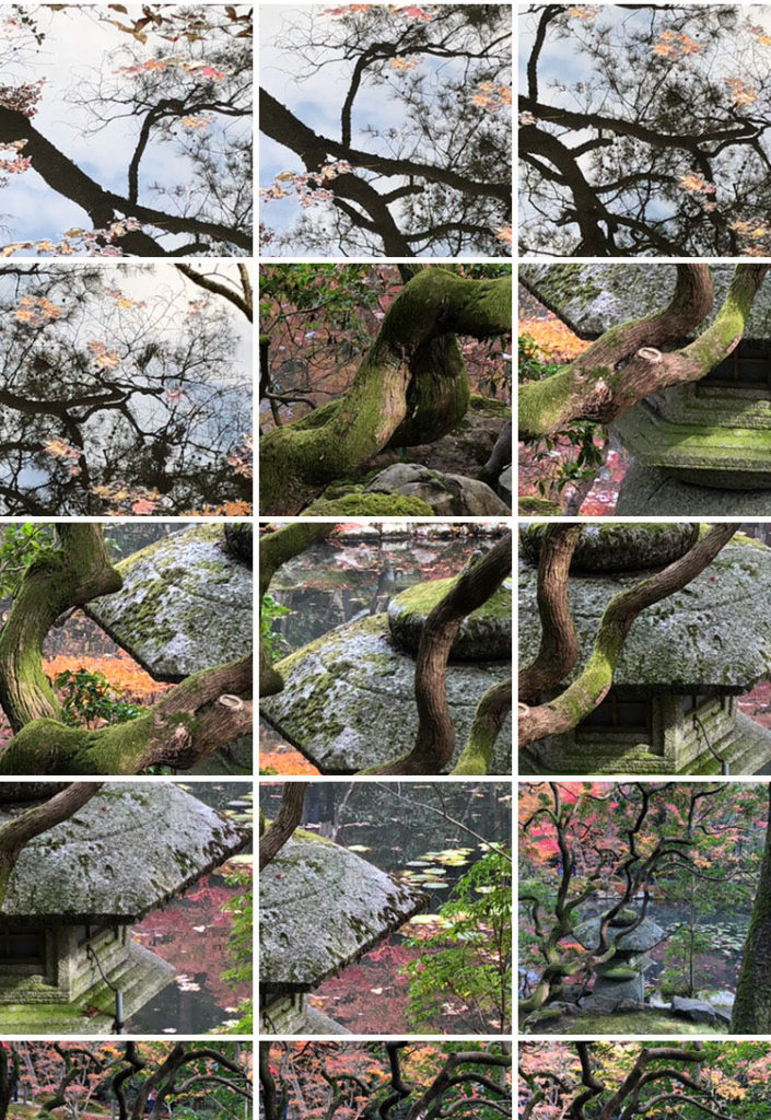 This photo collage is an arrangement of squares showing a progression of different scenes shot at varying angles. Along the top is the silvery surface of a pond contrasted with dark tree branches. At the center are twisting, mossy tree branches framed by an aging stone scultpture. Along the bottom are shots of the same tree and sculpture taken from further away. The progression throughout the collage demonstrates a complex interaction between light, reflection, shadows, and natural forms.