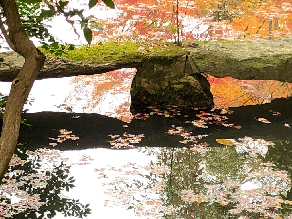 This shot shows a lovely, narrow stone bridge crossing a pond. The pond is framed on all sides by lush, manicured vegetation, with fallen leaves floating peacefully on its surface. The play of shadows and light catching on the surface of the pond gives it an endless and otherworldly appearance.