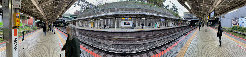 This wide-angle photograph shows a peaceful outdoor train platform and the artist and author Elena Sisto observing a sign in Japanese.