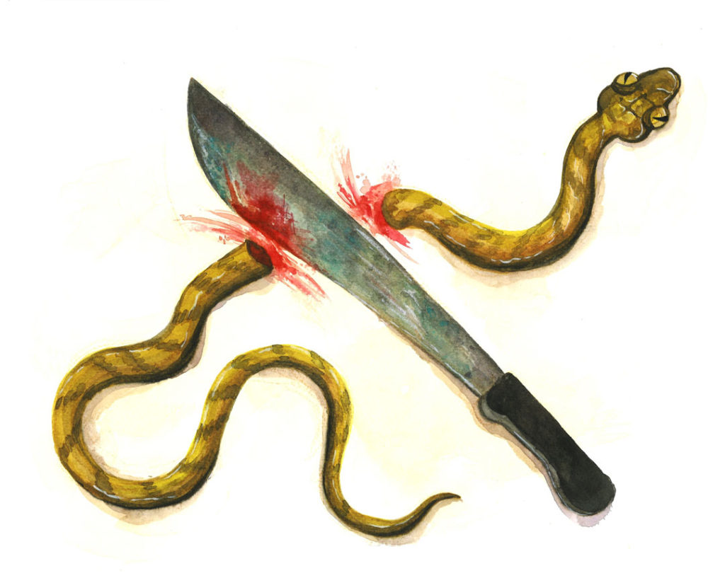 A slinking brown tree snake cut in two by a machete. Despite its violent content, the illustration is soft and child-like, giving hope that there will be balance in the future.