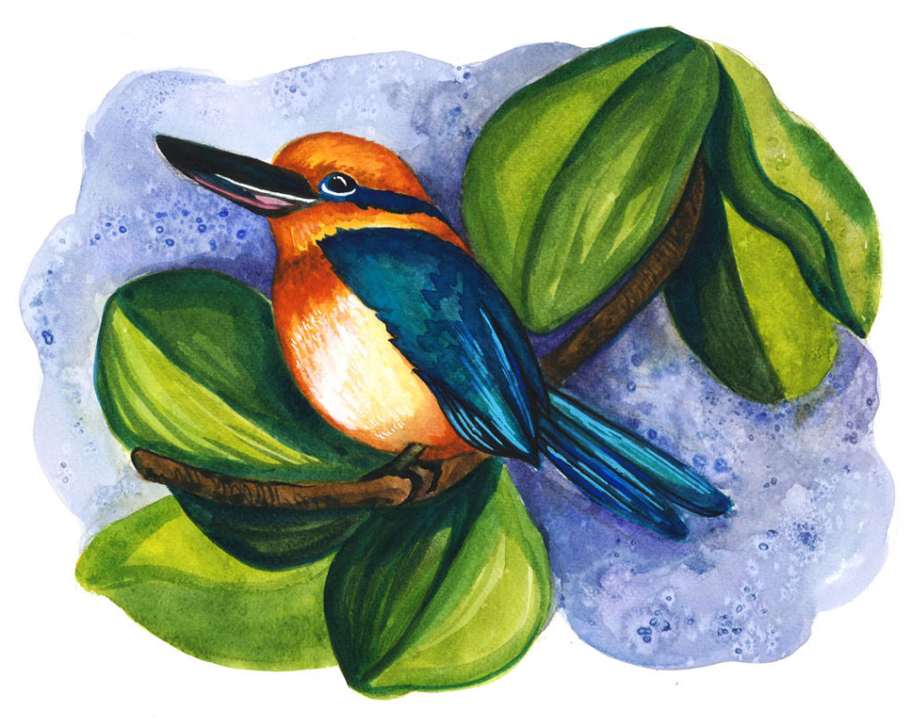 A sweet, optimistic illustration of a Sihek, or Micronesia Kingfisher. The medium-size bird is brightly colored, orange, blue, and white, with a large beak. Here, it rests in a tropical tree.