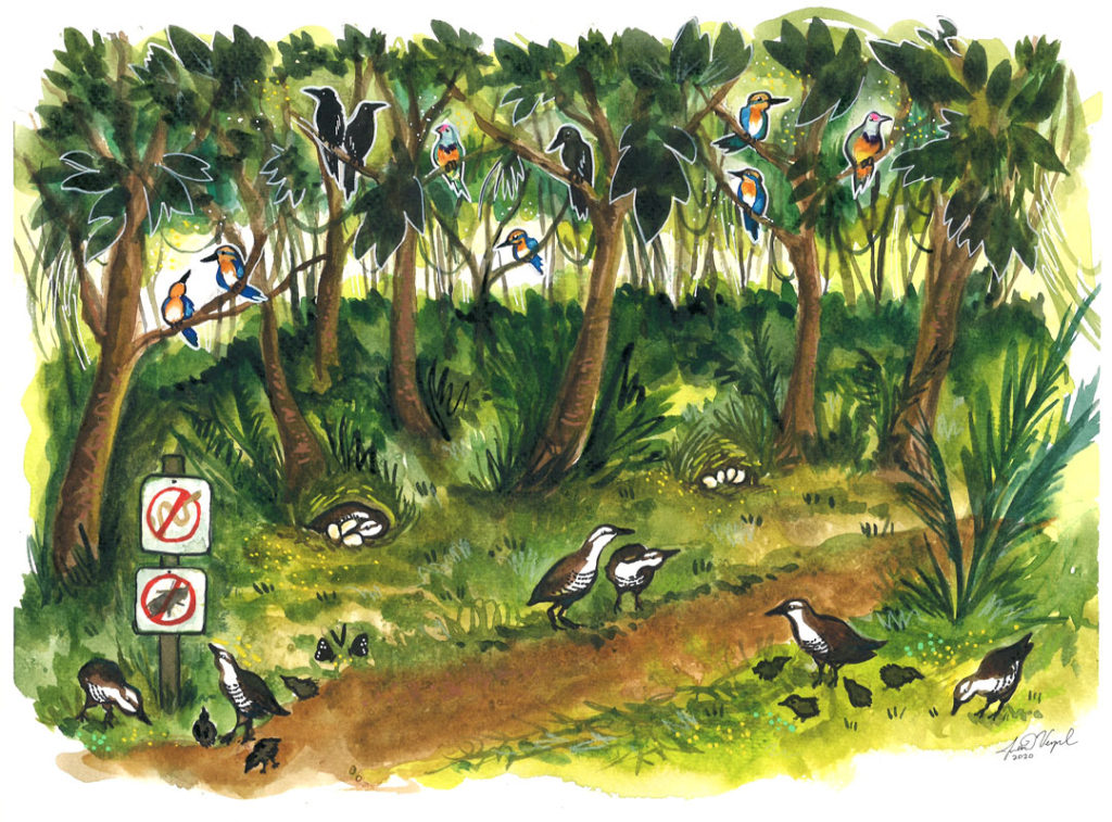 A thriving forest scene in a future Guam imagined by Craig Santos Perez, where the ecology has been restored. Previously extinct birds such as the Guam rail and Micronesia Kingfisher, their chicks, and eggs fill the trees and undergrowth. Signs posted along a path ban the previously invasive species such as brown tree snakes.